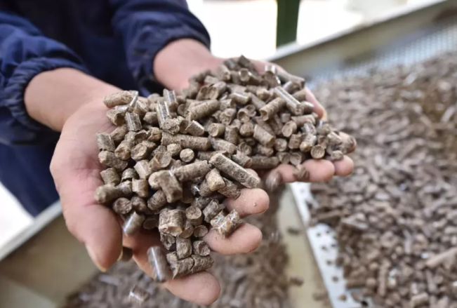 RDF Plant Rorotan Siap Beroperasi, DLH DKI Jamin Aman untuk Warga