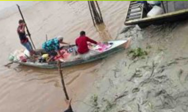 Lagi, Nelayan Rimba Melintang Tewas Disambar Buaya
