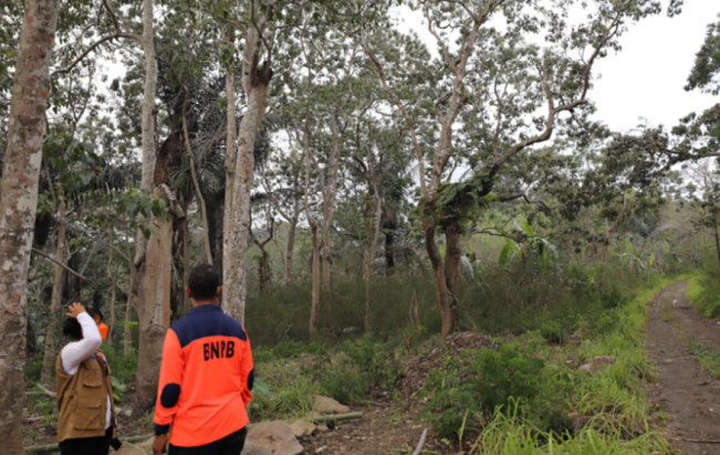 Pemda Usulkan Tiga Lokasi Ini untuk Relokasi Warga Terdampak Erupsi Lewotobi