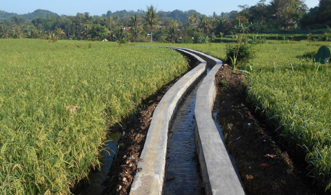 Zulhas Ingatkan Swasembada Pangan 2027, Pemda harus Gerak Cepat Dukung Program Itu!