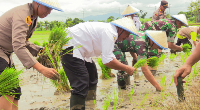 Petani Diminta Waspadai Cuaca Ekstrem pada Musim Tanam I