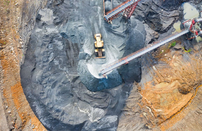 Tahun 2025: Jangan Bisnis yang Bertentangan dengan Elemen Kayu, Ini Daftarnya!