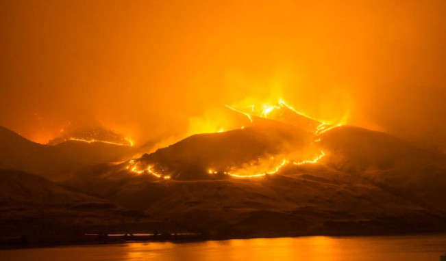 10 Kebakaran Hutan Terdahsyat di Dunia, Black Dragon dengan Korban Jiwa Terbesar 191 Meninggal