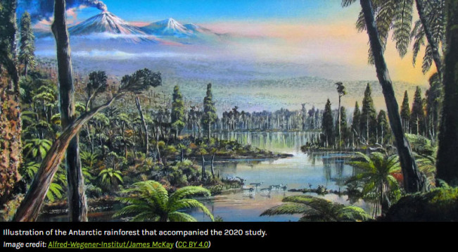 Temuan Mengejutkan! 90 Juta Tahun Lalu, Antartika Miliki Hutan Hujan yang Subur dan Dinosaurus