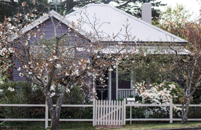 Feng Shui: Ingin Berlimpah Rejeki? Pertimbangkan Hal Ini Saat Menanam Pohon di Depan Rumah
