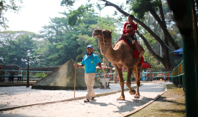 Heboh! Kejati Jabar Segel Kebun Binatang Bandung, Ternyata Ini Penyebabnya!