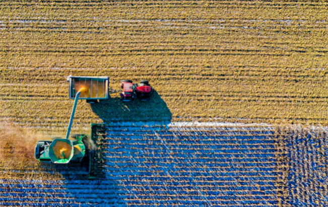 Tantangan Negara Berkembang: Sulitnya Petani Skala Kecil dalam Mengakses Teknologi Penyimpanan Digital