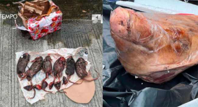 Fakta Baru Teror Kepala Babi ke Kantor Tempo, Polisi: Kita sudah Tahu Siapa yang Mengirim