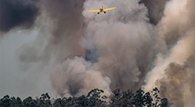 Gubri: Status Siaga Karhutla Riau Berpotensi Berubah Jadi Tanggap Darurat