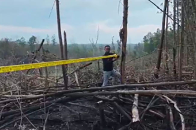 Diduga Sengaja! Polisi Selidiki Terbakarnya Habitat Harimau Sumatera dan Gajah di TNTN