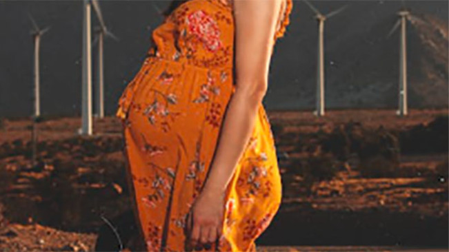 Ya Ampun! Ibu Hamil Ditangkap Curi HP Ngakunya untuk Biaya Persalinan