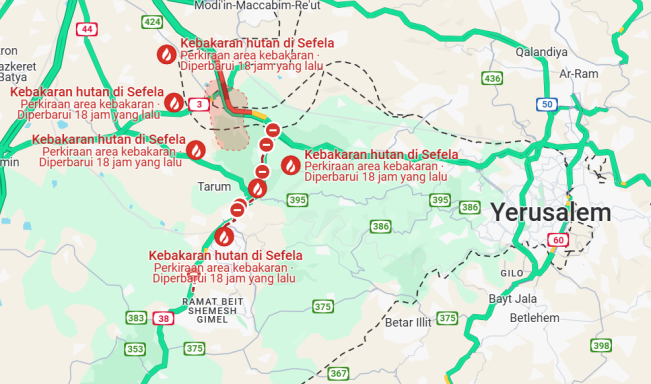 Kebakaran Hutan Israel Mengganas hingga Kemungkinan Datang Angin Lebih Kencang