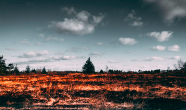 Riau Darurat Karhutla: Satu Pelaku Ditangkap Mengaku Bakar Lahan untuk Kebun Sawit