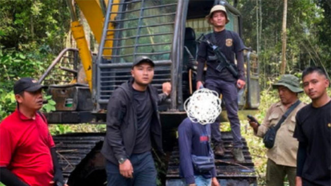 Sindikat Perambah Hutan Bermodus Kelompok Tani Berhasil Jual 40 Hektar Lahan Hutan Lindung Rp385 Juta