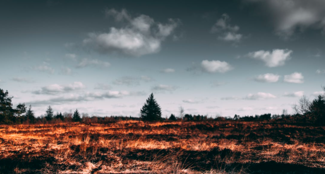 Beberapa Hari Zero Titik Api, Karhutla Riau Kembali Berkobar di Inhil