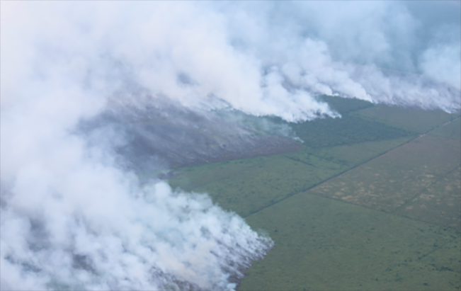 Riau Diserbu Karhutla, BMKG Pastikan tidak Ada Asap yang Sampai ke Negara Tetangga