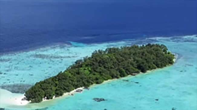 Ayo ke Karimunjawa! Nikmati Wisata Snorkling dan Scuba Diving yang Luar Biasa