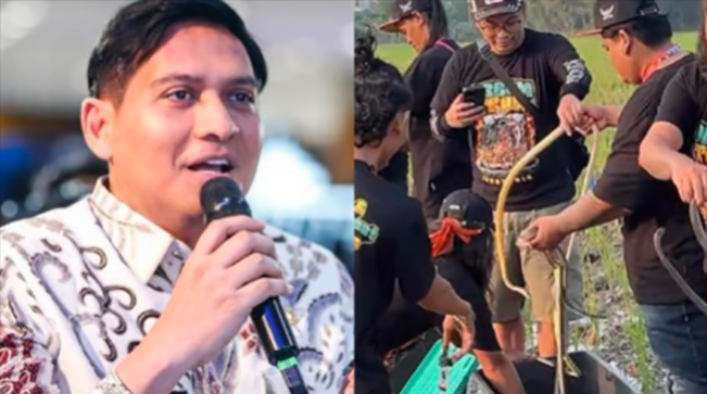 Lama tak Terdengar Kabarnya, Tiba-Tiba Bupati Lucky Hakim Muncul Melepaskan Ribuan Ular ke Sawah