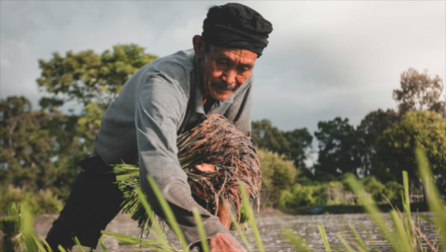 Para Petani Jateng Gembira, Dapat Sertifikat Tanah dan Utangnya Dihapus