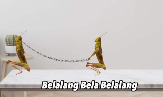 Lirik Belalang Bela Belalang, Lagu Malaysia yang Lagi Viral di TikTok