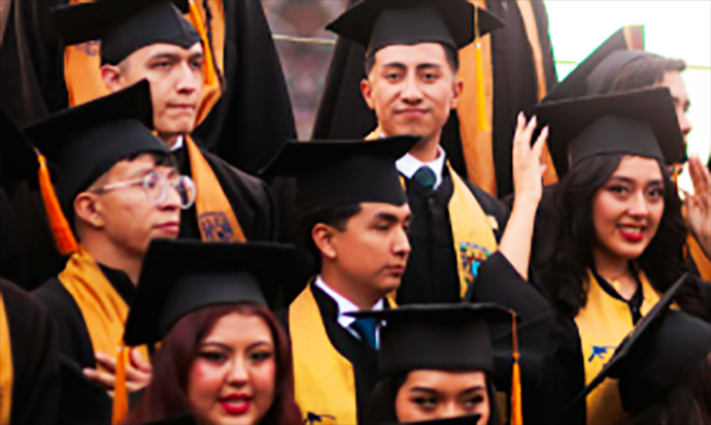 Mahasiswa Baru Lulus Siap-siap, Ada Program Magang Dapat Uang Saku Setara UMP, Mulai Oktober