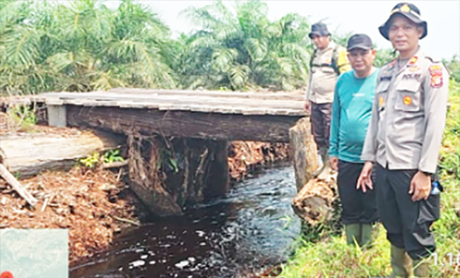Viral di TikTok Pembalakan Liar di Dekat Cagar Biosfer Bengkalis, Polisi Kena Prank?