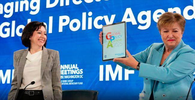 Daftar Negara Paling Banyak Utang di IMF 2025, Indonesia Nomor Berapa?