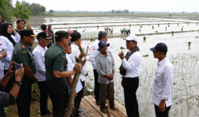 Amran Sulaiman: Pompanisasi Tingkatkan Produksi Beras Jateng 1,2 Juta Ton