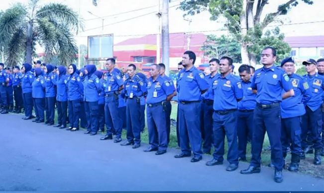 2.000 Lebih Pegawai Honorer akan Perebutkan 1.500 Pos PPPK Kota Bengkulu