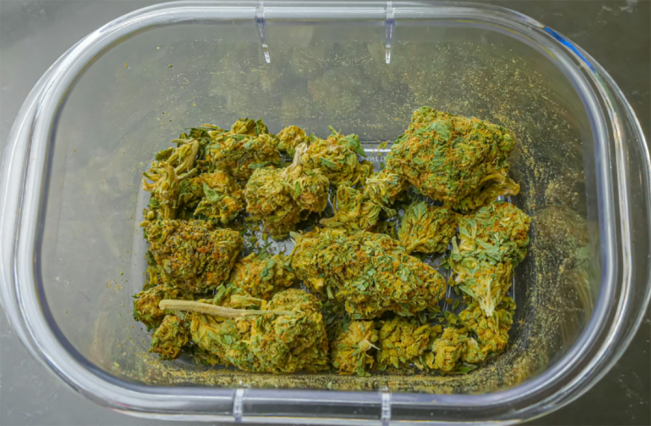 Edarkan Ganja, Pria Paruh Baya di Langkat Dicokok Polisi