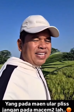 Panji Petualang berkomentar di unggahan KDM. (Instagram)