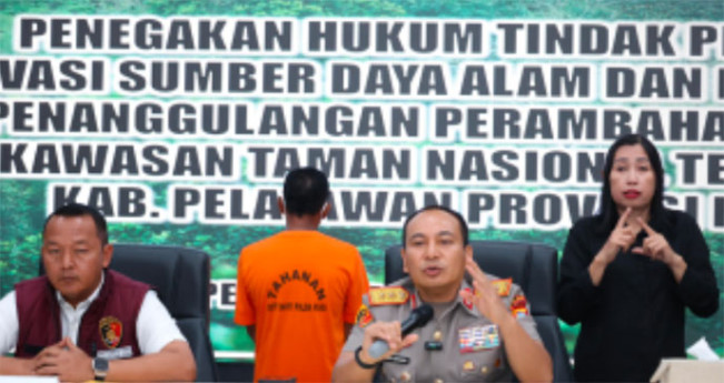 Tokoh Adat Diduga Jadi Dalang Praktik Jual Beli Lahan di Kawasan Hutan Lindung Ditangkap