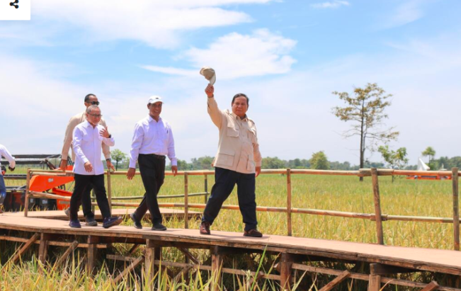Januari-Agustus 2025, Produksi Beras Berlimpah Capai 29,97 Juta Ton dari Jawa dan Luar Jawa