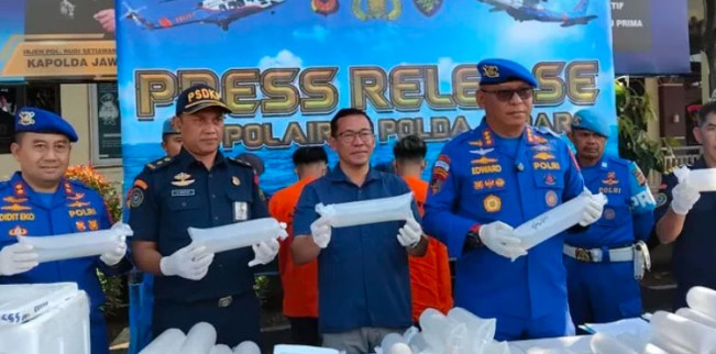 Penyelundupan 50 Ribu Benih Lobster Senilai Rp2 Miliar Berhasil Digagalkan