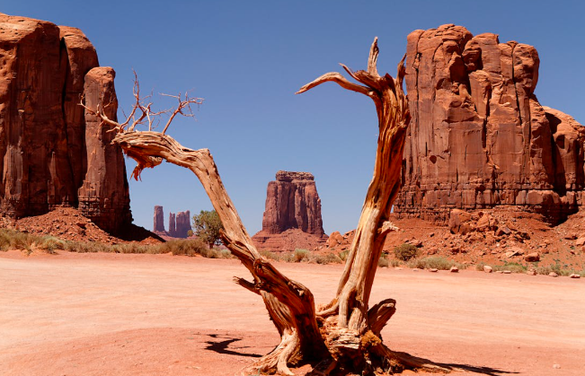 Ilustrasi/Foto: Pixabay, pexels.com