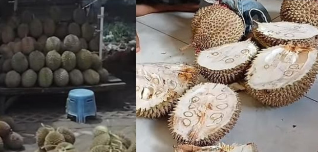 Kenali Makna 'Durian Tewel'  yang Viral di  Pasar Cheng Ho, Simak Penjelasannya!