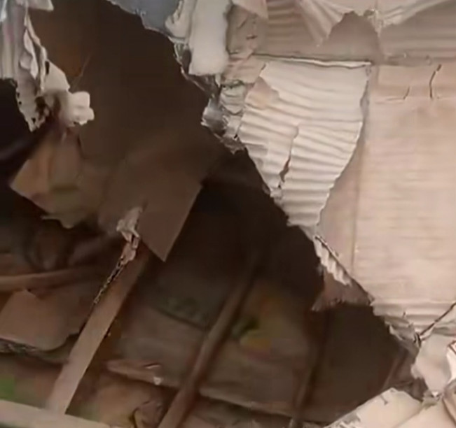 Viral Video Patung Penyu Senilai Rp15,6 M Rusak, Ternyata Terbuat dari Kardus!