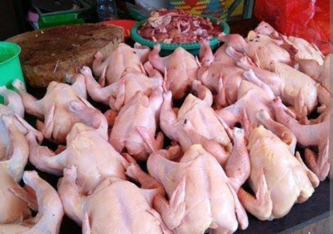 Harga Ayam Potong Merosot, Peternak Kian 'Terjepit' : Terancam Rugi Rp80 M per Minggu