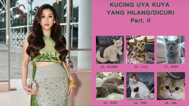 Sherina Munaf Batal Diperiksa Polisi soal Kucing Uya Kuya, Pemeriksaan Dijadwal Ulang