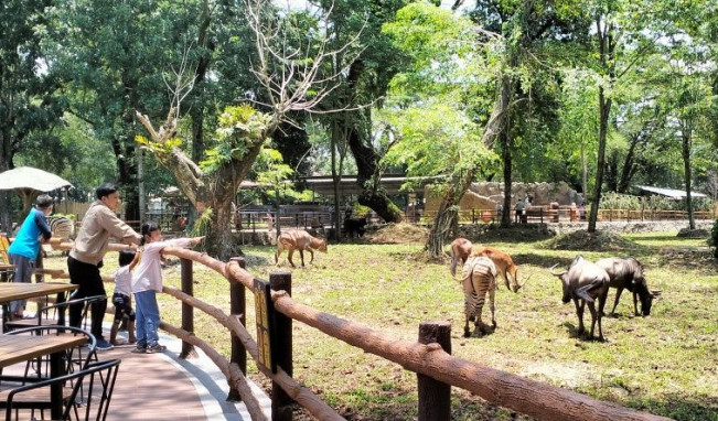 Pembangunan Solo Safari Tahap Dua Segera Dilakukan, Anggarannya Rp100 Miliar