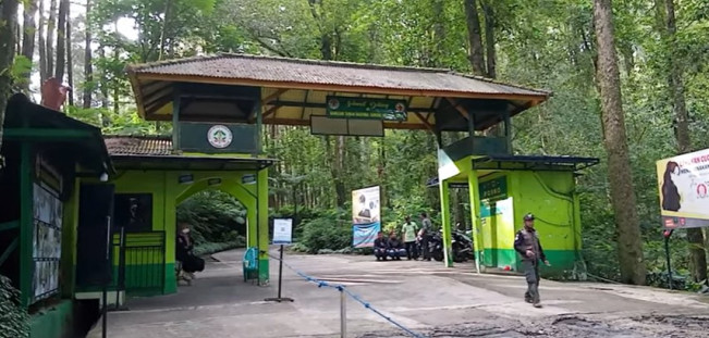 Tiket Masuk Taman Nasional Gunung Halimun Salak Makin Mahal, Ternyata Ini Sebabnya