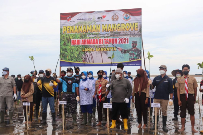 Aksi Penanaman 7 Ribu Mangrove Digelar di Sangatta