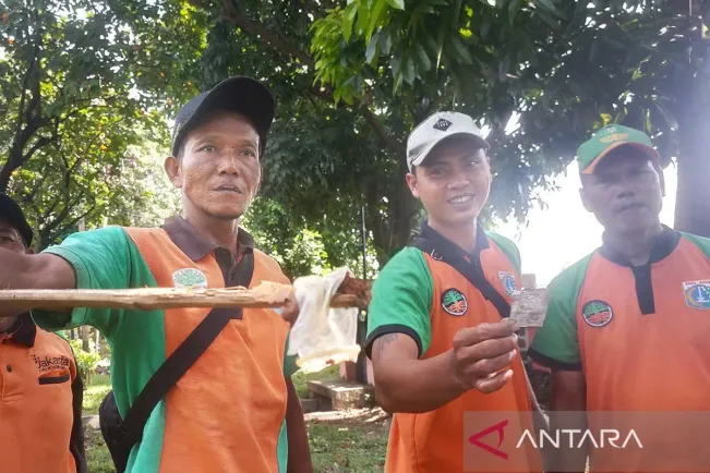 Tata Ulang RTH di Jakarta, Cegah Jadi Tempat Mesum