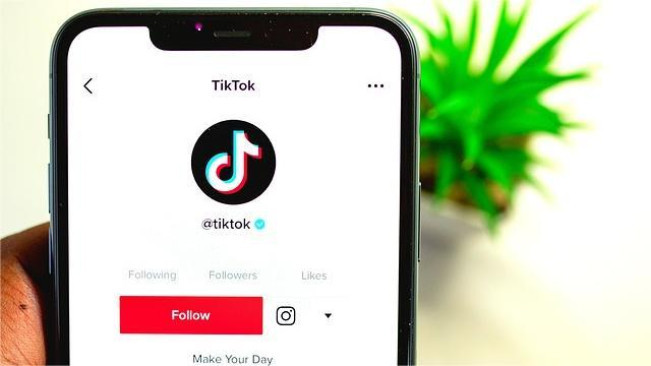 Apa Kegunaan Footnotes? Fitur yang Diluncurkan TikTok