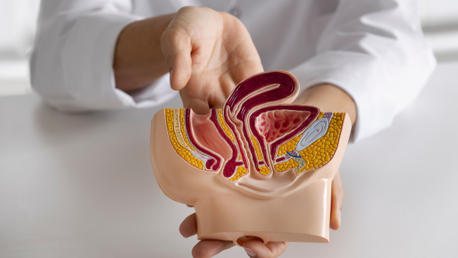 Haram dalam Islam, Vasektomi Tak Bisa Asal Dipakai untuk Syarat Terima Bansos