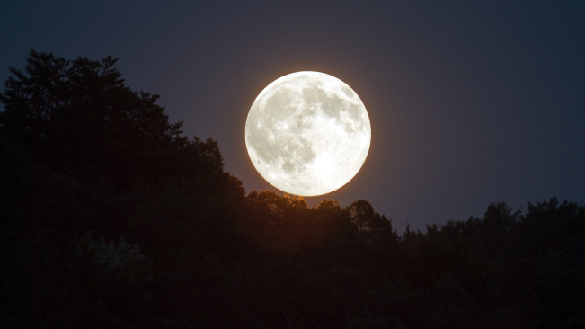 "Wolf Moon", Bulan Purnama di Januari, Apa Dampaknya Bagi Bumi?