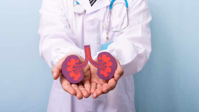 Transplantasi Organ dari Hewan ke Manusia Dekati Titik Cerah