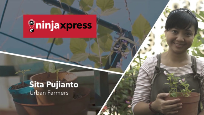 Urban Farming: Solusi Pertanian Berkelanjutan di Era Modern