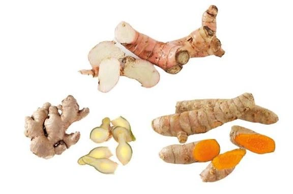 Wajib Tahu! Perbedaan 3 Rempah Rimpang Mirip Ini