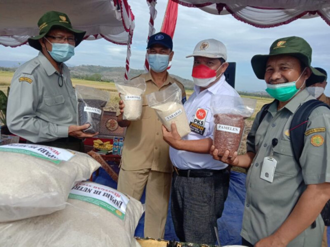 Harga-harga Melambung, Pemerintah Dinilai Langgar Konstitusi